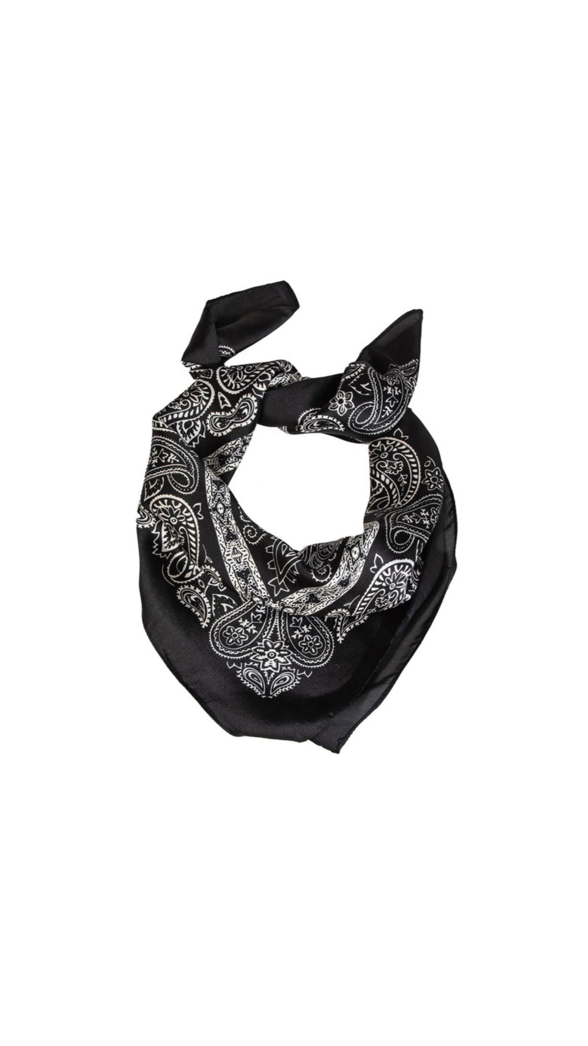 Paisley Boarder Pattern Square Scarf